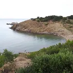 Apartment Espacioso En Cerca De La Playa Con Terraza Y Acepta Mascotas - Es-170-39